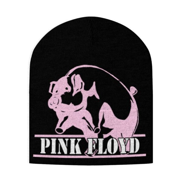 PINK FLOYD - In the Flesh Pink Floyd Pipo