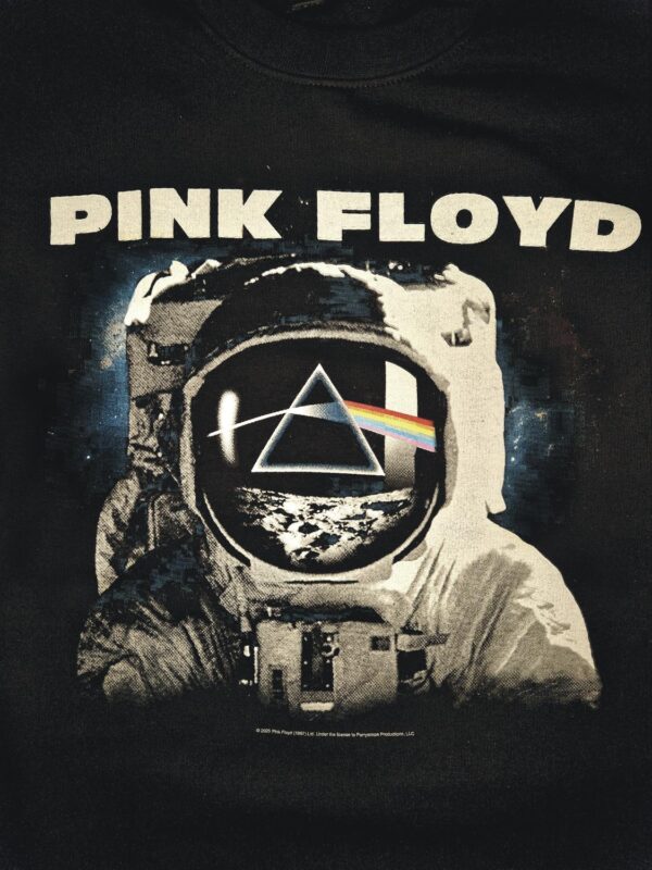 Pink Floyd Pink Floyd The Dark Side of the Moon Astronaut college