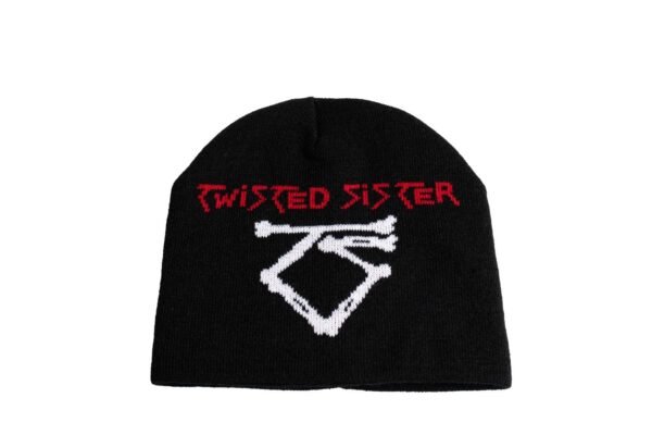 Twisted Sister You can't stop Rock Â´nÂ´ Roll Twisted sister Pipo