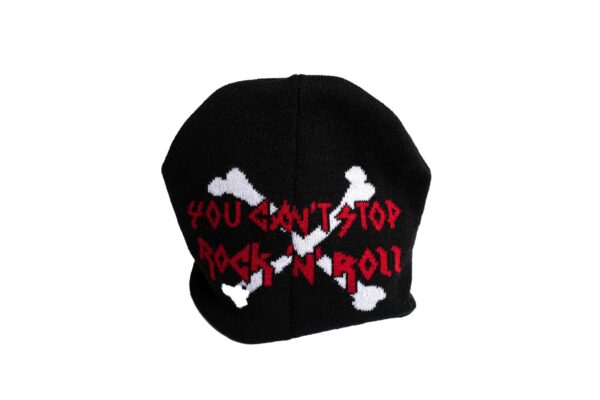 Twisted Sister You can't stop Rock Â´nÂ´ Roll Twisted sister Pipo
