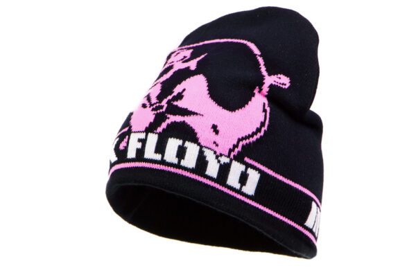 PINK FLOYD - In the Flesh Pink Floyd Pipo