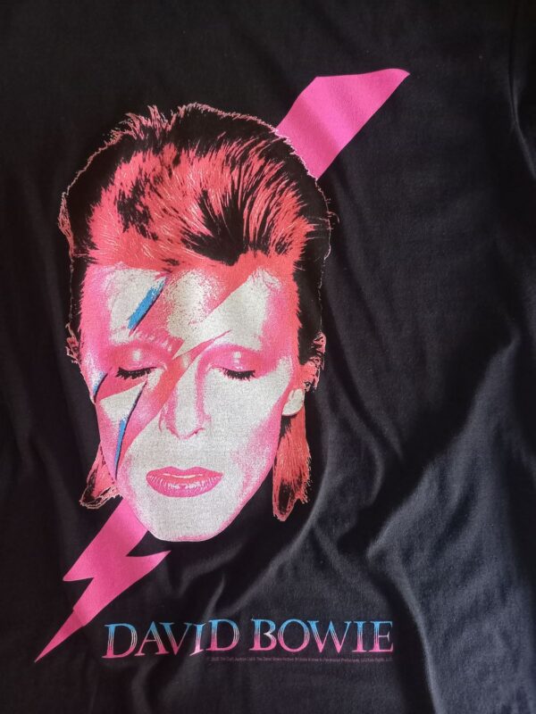 David Bowie Aladdin sane T-Paita