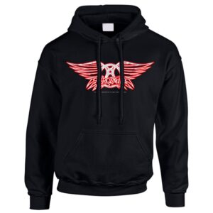 Aerosmith - Logo Hoodie Huppari
