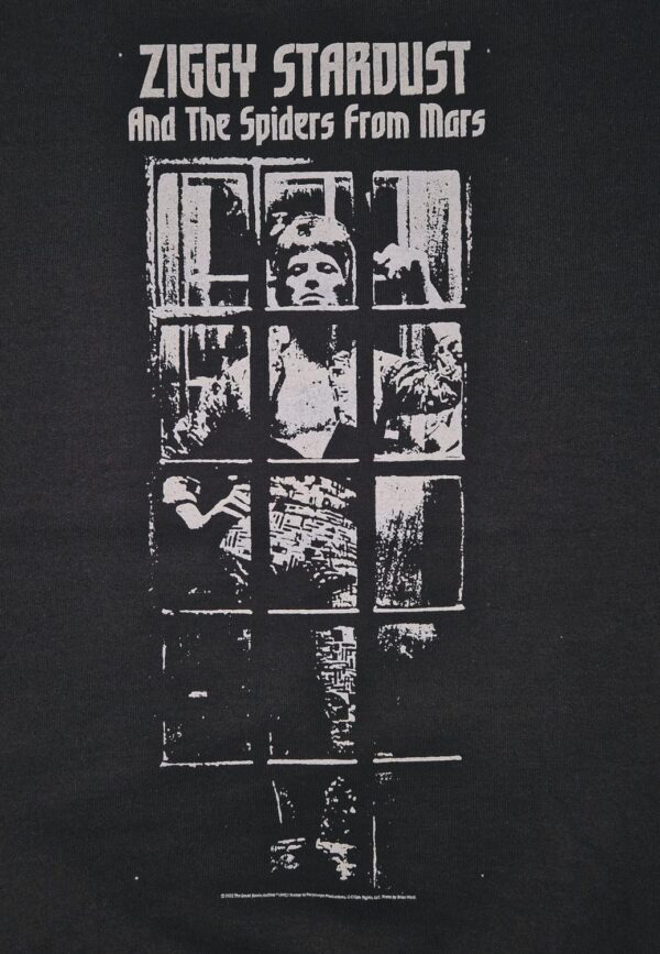 David Bowie Ziggy Stardust bw college Pusero