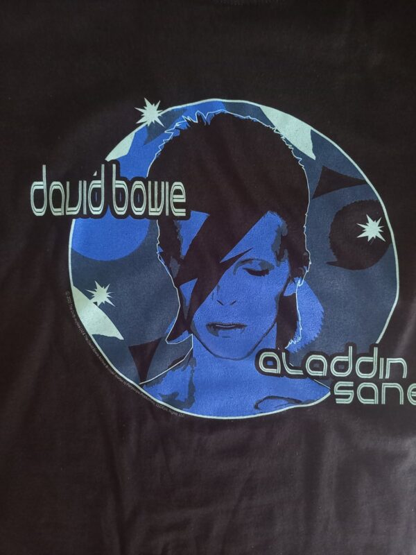 David Bowie Aladdin sane New Blue Huppari