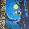 Iron Maiden Fear of the Dark Lasten T-Paita
