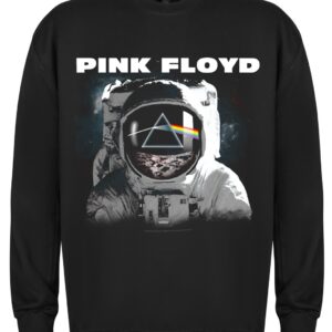 Pink Floyd Pink Floyd The Dark Side of the Moon Astronaut college