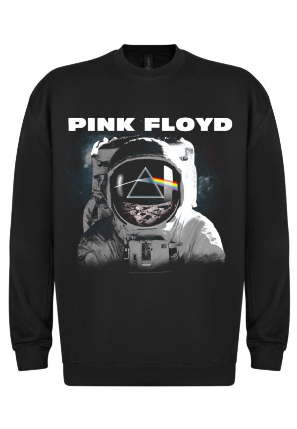 Pink Floyd Pink Floyd The Dark Side of the Moon Astronaut college
