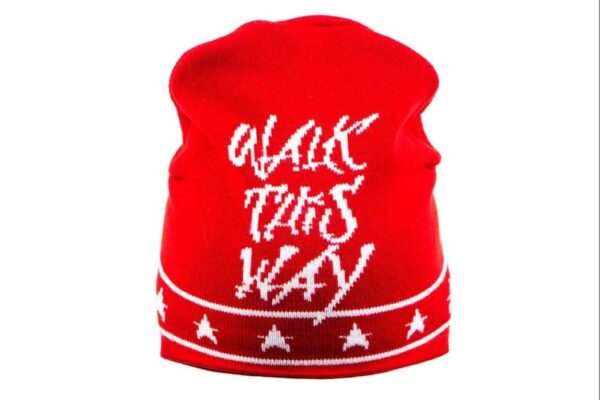 Aerosmith -Walk this way Pipo