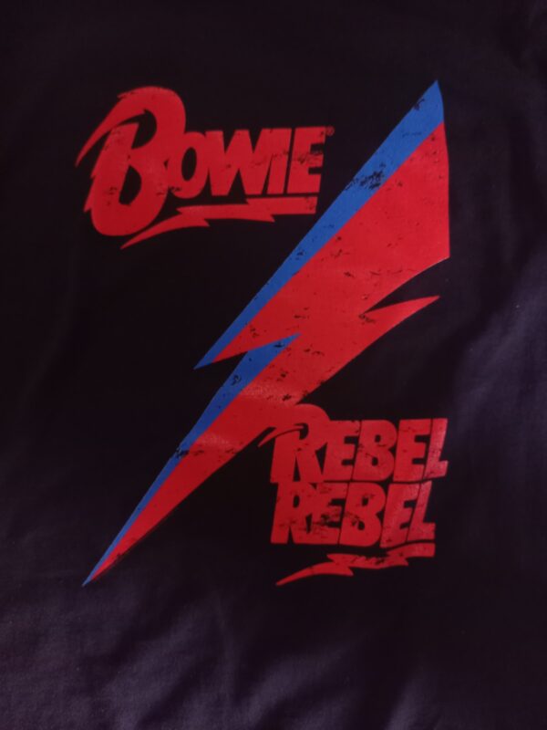 David Bowie David Bowie Rebel, Rebel Huppari