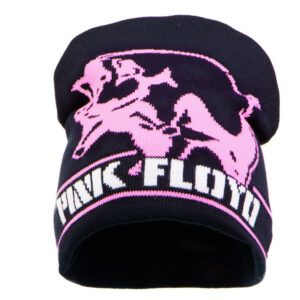 PINK FLOYD - In the Flesh Pink Floyd Pipo