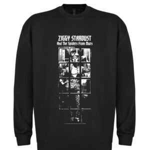 David Bowie Ziggy Stardust bw college Pusero
