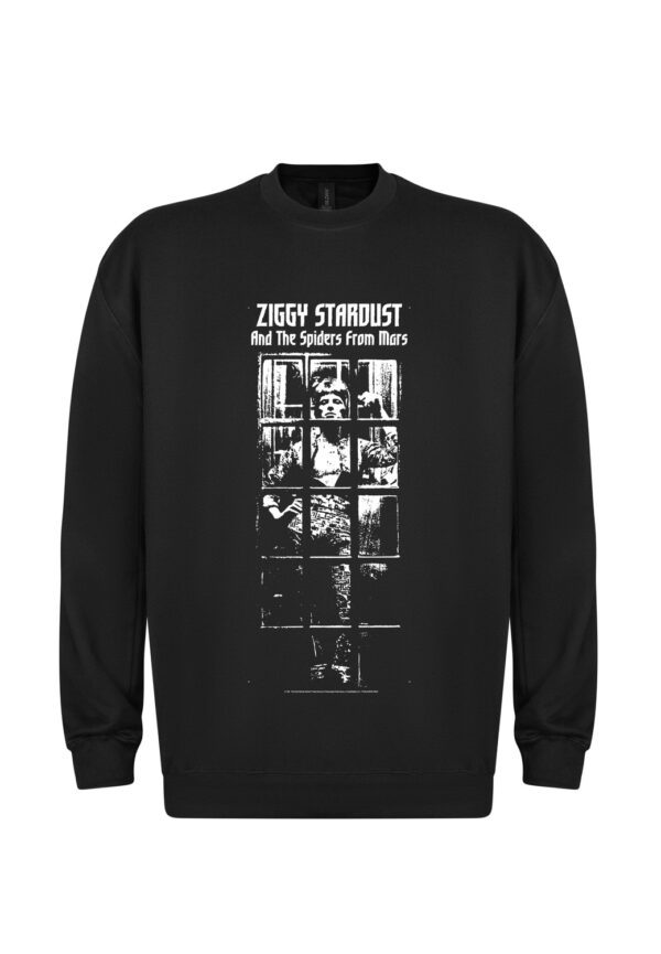 David Bowie Ziggy Stardust bw college Pusero