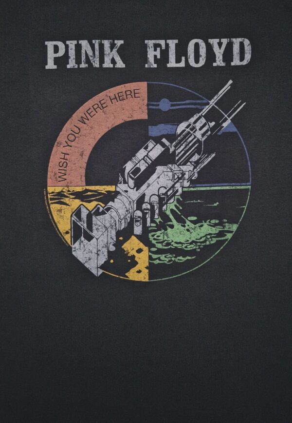 Pink Floyd Wish you were Hoodie Huppari